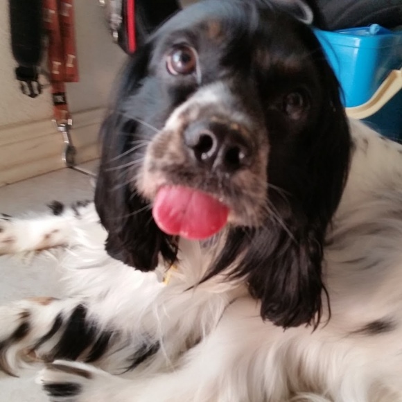 Meet your Posher, Debbie - Poshmark Ambassador - Picture 1 of 2